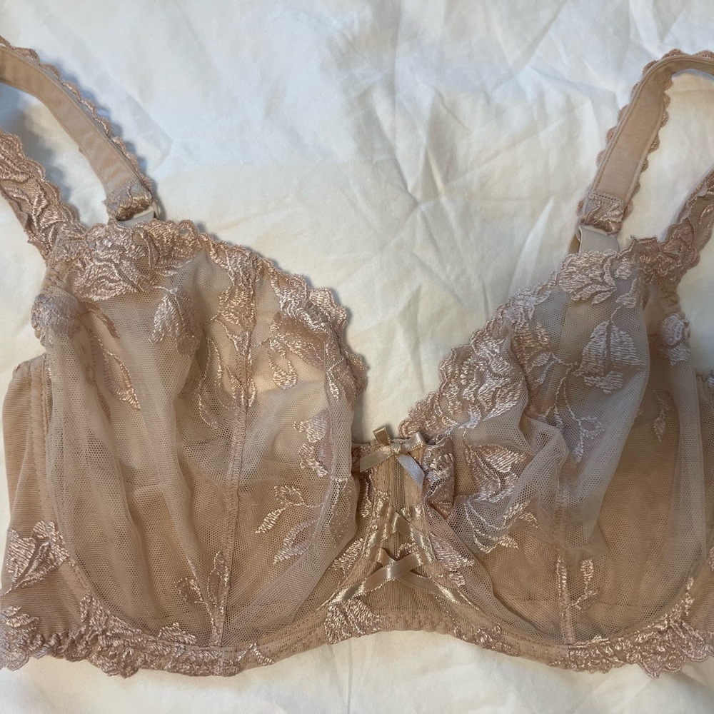Aubade Sheer Lace Bra in Beige 32G